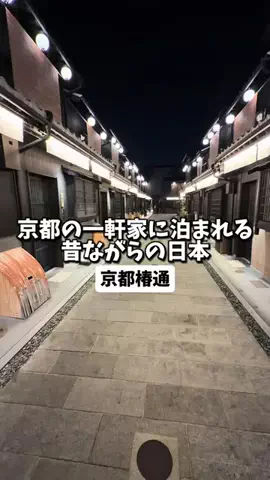 日本グルメのTikTok投稿