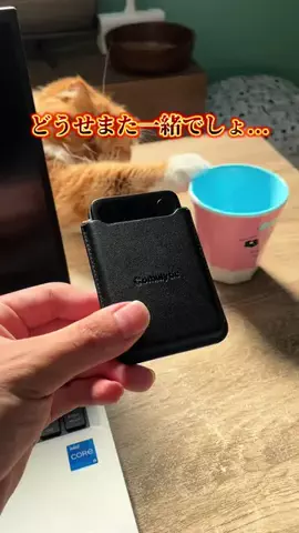 はく｜ちょいズル暮らしハックのTikTok投稿