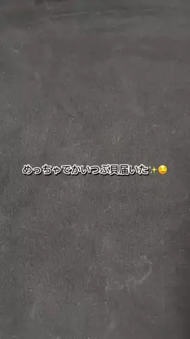 むにまる【SHOP】のTikTok投稿