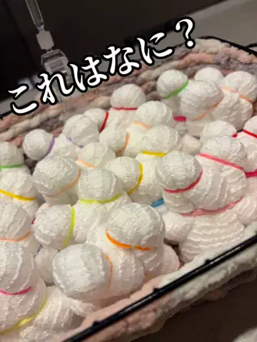 日本語くまさんのTikTok投稿