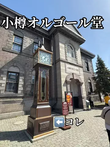 日本語くまさんのTikTok投稿