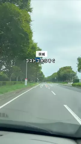 茨城ガイド📕あせこ【お出かけ・グルメ・観光・イベント】のTikTok投稿