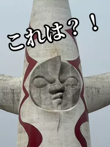 日本語くまさんのTikTok投稿