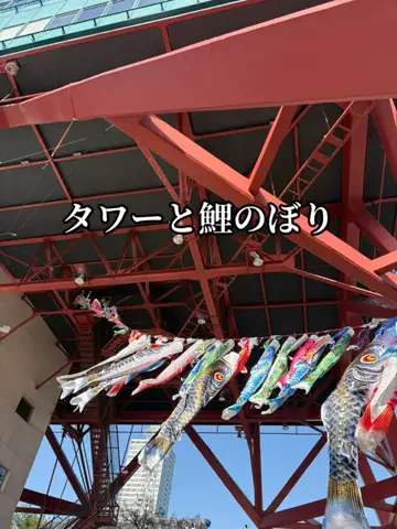 日本語くまさんのTikTok投稿