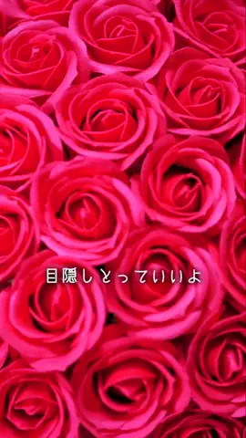 いぶよへスカッシュのTikTok投稿