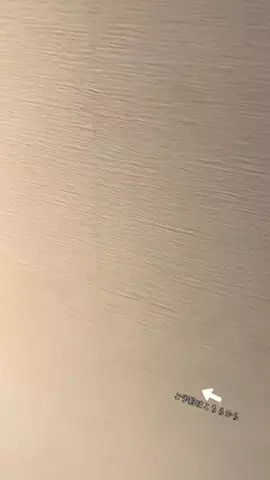 ルイハナちゃんのTikTok投稿