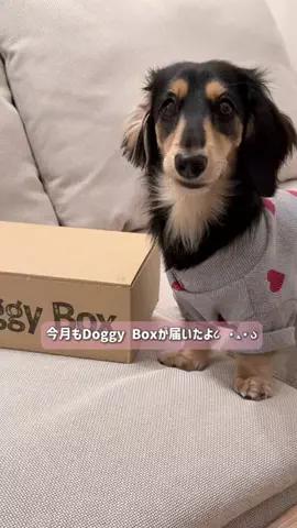 進撃のつむしゃんのTikTok投稿
