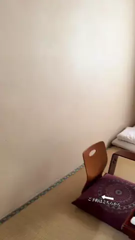 ルイハナちゃんのTikTok投稿
