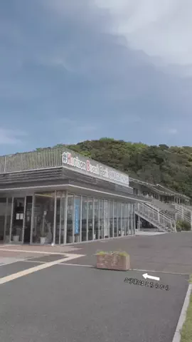 ルイハナちゃんのTikTok投稿