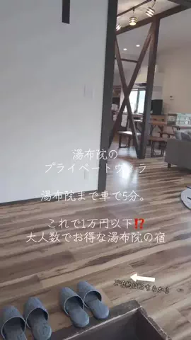 ルイハナちゃんのTikTok投稿