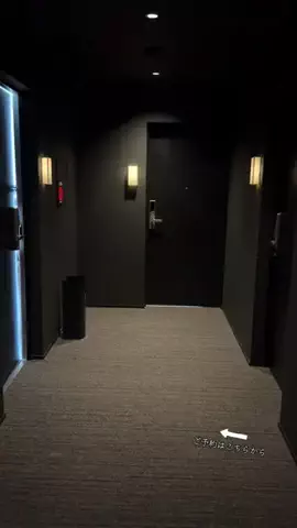 ルイハナちゃんのTikTok投稿