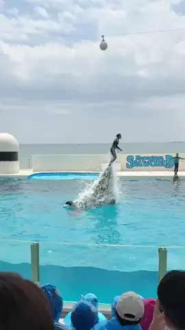 ぐりぐらママ@子連れ旅行で一度は行きたいスポット巡りのTikTok投稿