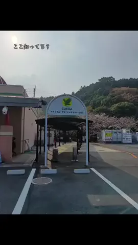 ritsu🐶💚🐎のTikTok投稿