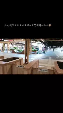 ritsu🐶💚🐎のTikTok投稿