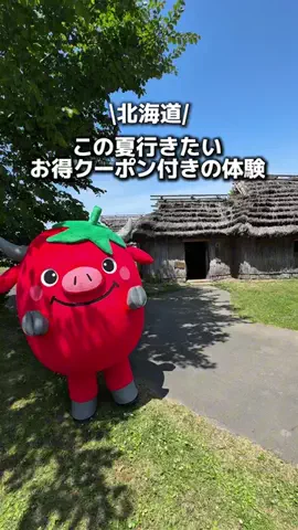 りこモグのTikTok投稿