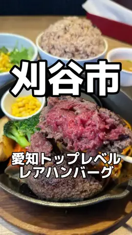 愛知グルメ【あいぐる】のTikTok投稿