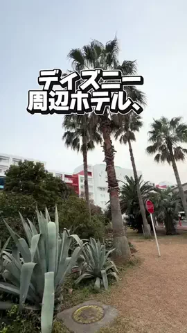 かのん様🐰🎀 ホテルヤドカリ女王様🐚👑のTikTok投稿