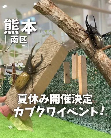 とも〻熊本子連れおでかけのTikTok投稿