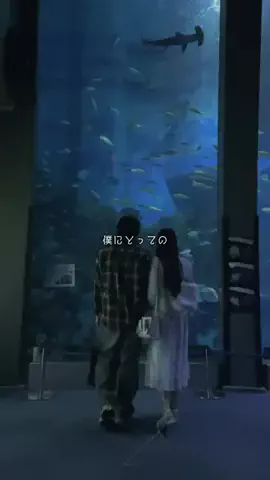 ゆまりんカップルのTikTok投稿