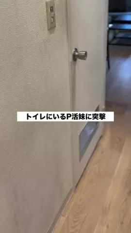 お姉ちゃんが推され女子のTikTok投稿