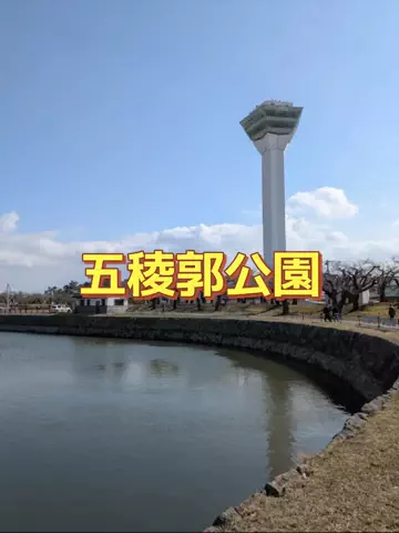 ホーリーゆうのTikTok投稿