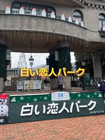 ホーリーゆうのTikTok投稿