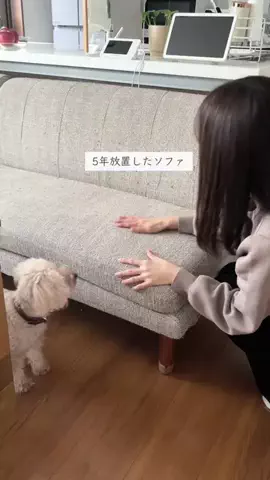 みな🌸暮らしのアイデアのTikTok投稿