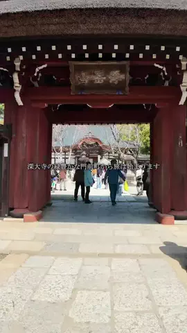 彩旅TokyoのTikTok投稿