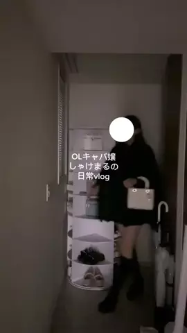 しゃけまるのTikTok投稿