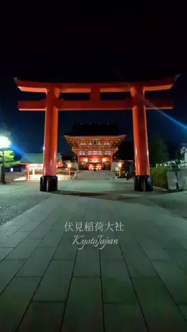 ぎょ丼💚のTikTok投稿