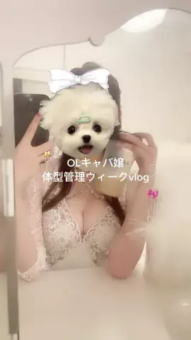 しゃけまるのTikTok投稿