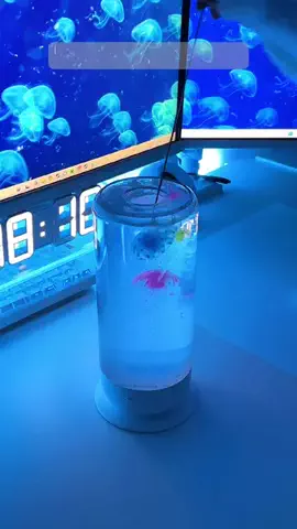 こめちのTikTok投稿