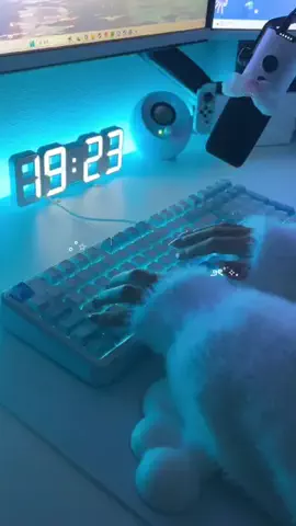 こめちのTikTok投稿