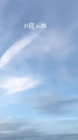 まさのTikTok投稿