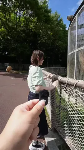 神堂きょうか🐸のTikTok投稿