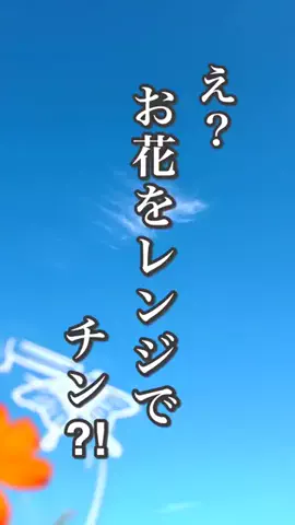 みっちゃんのTikTok投稿