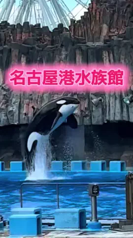 Miku♠️👘和装家のTikTok投稿
