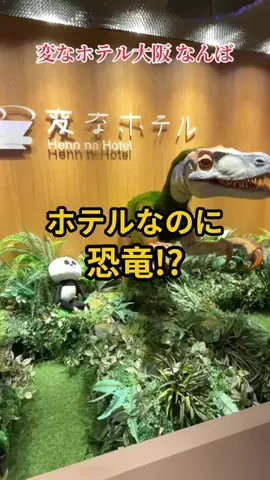 travel_diary_kouchanのTikTok投稿