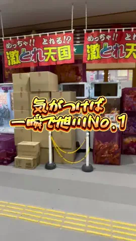 きうすちゃんねるのTikTok投稿