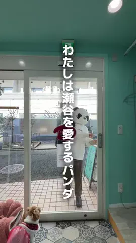 瀬谷なびのTikTok投稿
