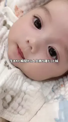 めい🌙のTikTok投稿
