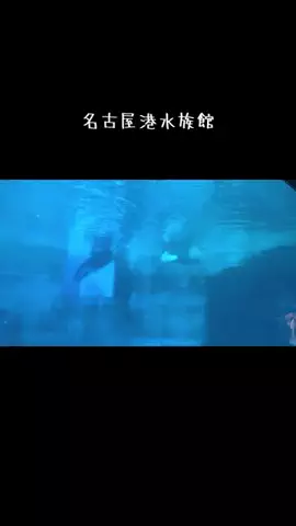 こんばんは朝マックのTikTok PR投稿：#GW国内旅行キャンペーン #PR #TikTokGO 