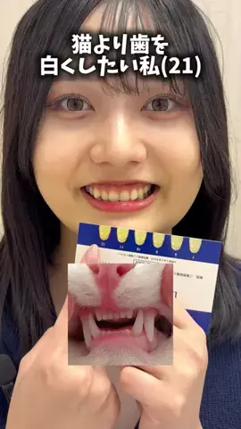 さやか🫧正直コスメのTikTok投稿