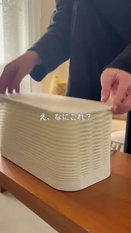 はる| ド田舎で叶える都会的な暮らしのTikTok投稿