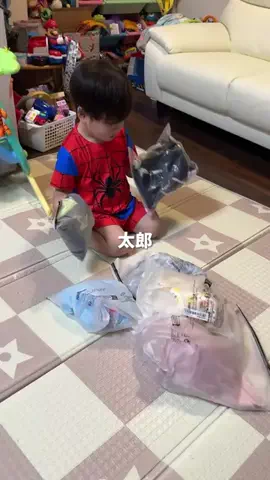 りき太郎のTikTok投稿
