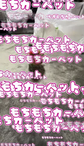 あなうのTikTok投稿