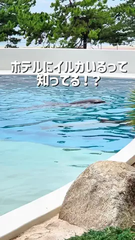 kanaeのTikTok投稿