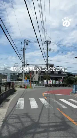 オダワラののTikTok投稿