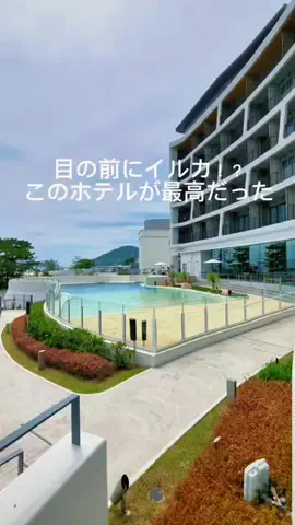 kanaeのTikTok投稿