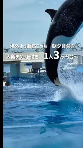kanaeのTikTok投稿